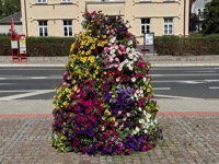 Town flower decoration