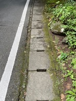 Drain/gutter/walkway near Tōshō-gū